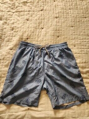 Light Blue Pineapple Print Swim Trunks